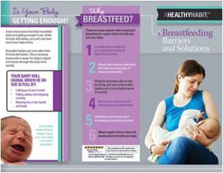 Breastfeeding Brochure - Working with families